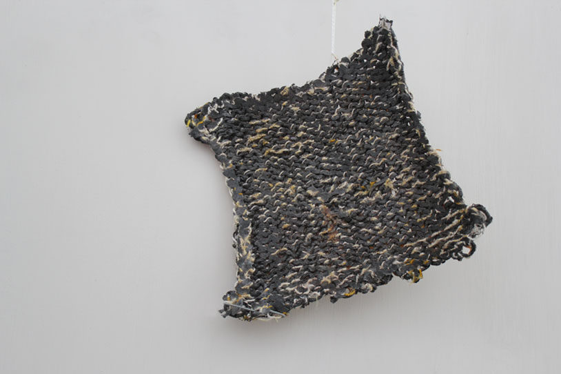 saltainterior1