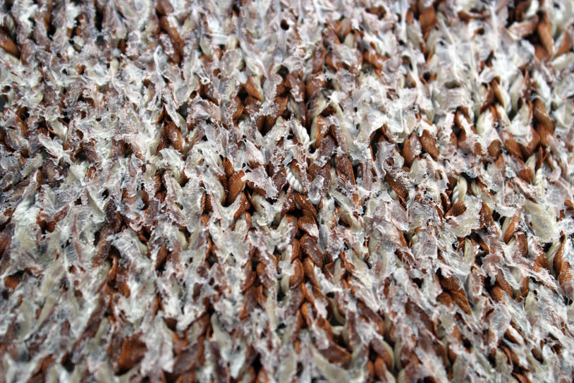 saltainterior1